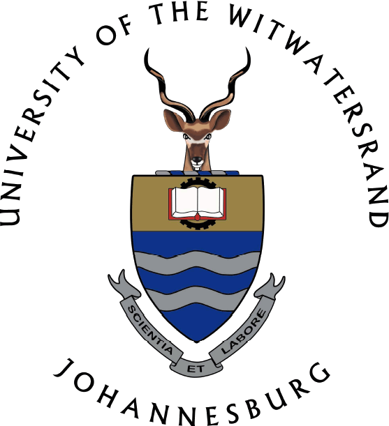 WITS Logo